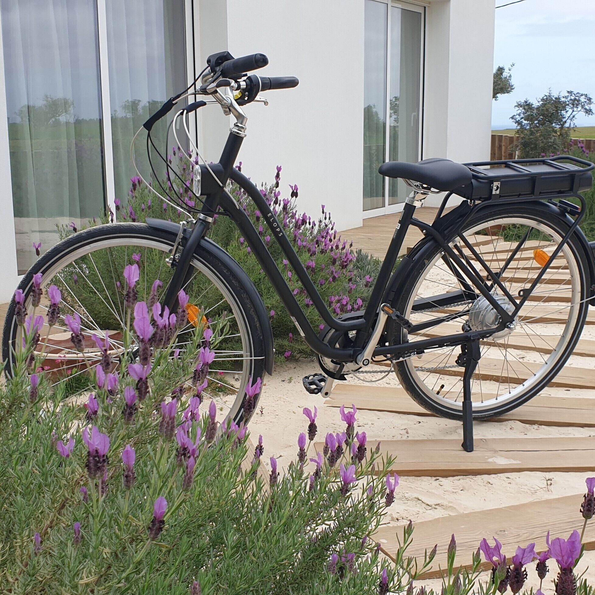 Una bicicleta estacionada sobre una cubierta de madera, con flores moradas al frente.