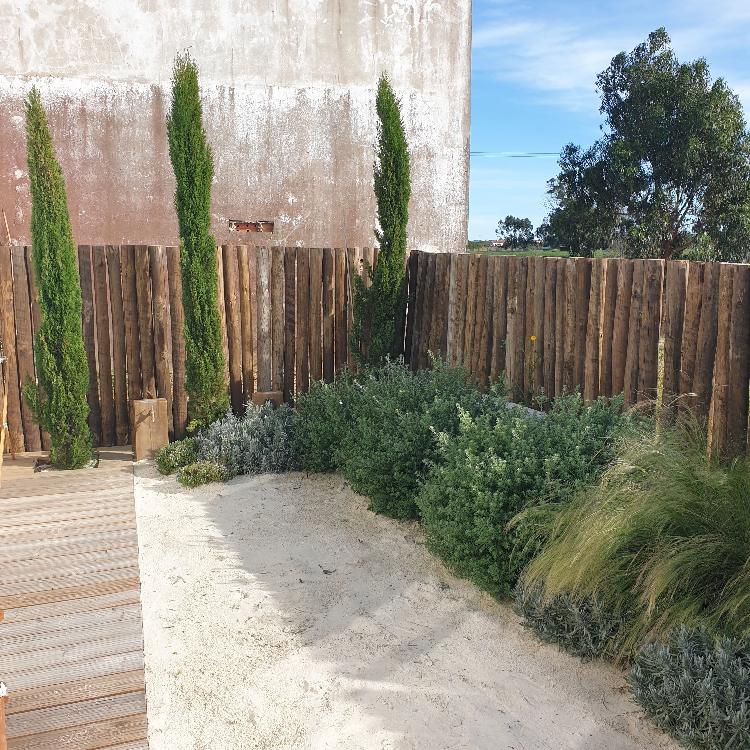 A sandy garden area with a wooden fence, surrounded by various shrubs and plants.