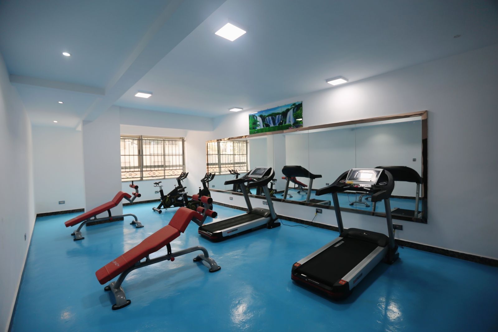 A gym with treadmills, stationary bikes, and a red bench.