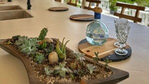 A table with a cactus terrarium, a bottle of Don Julio Blanco tequila, and two glasses.