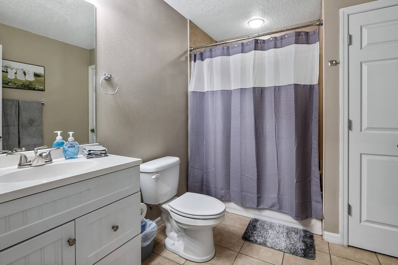 Une salle de bain avec un lavabo blanc, deux flacons de savon pour les mains, des toilettes et un rideau de douche.