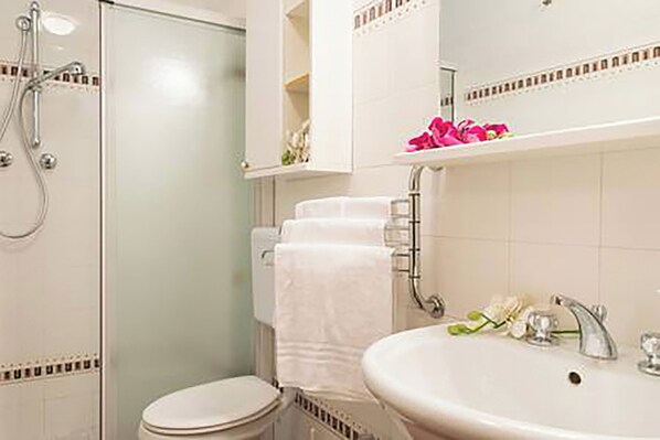 Shower, hair dryer, bidet, towels