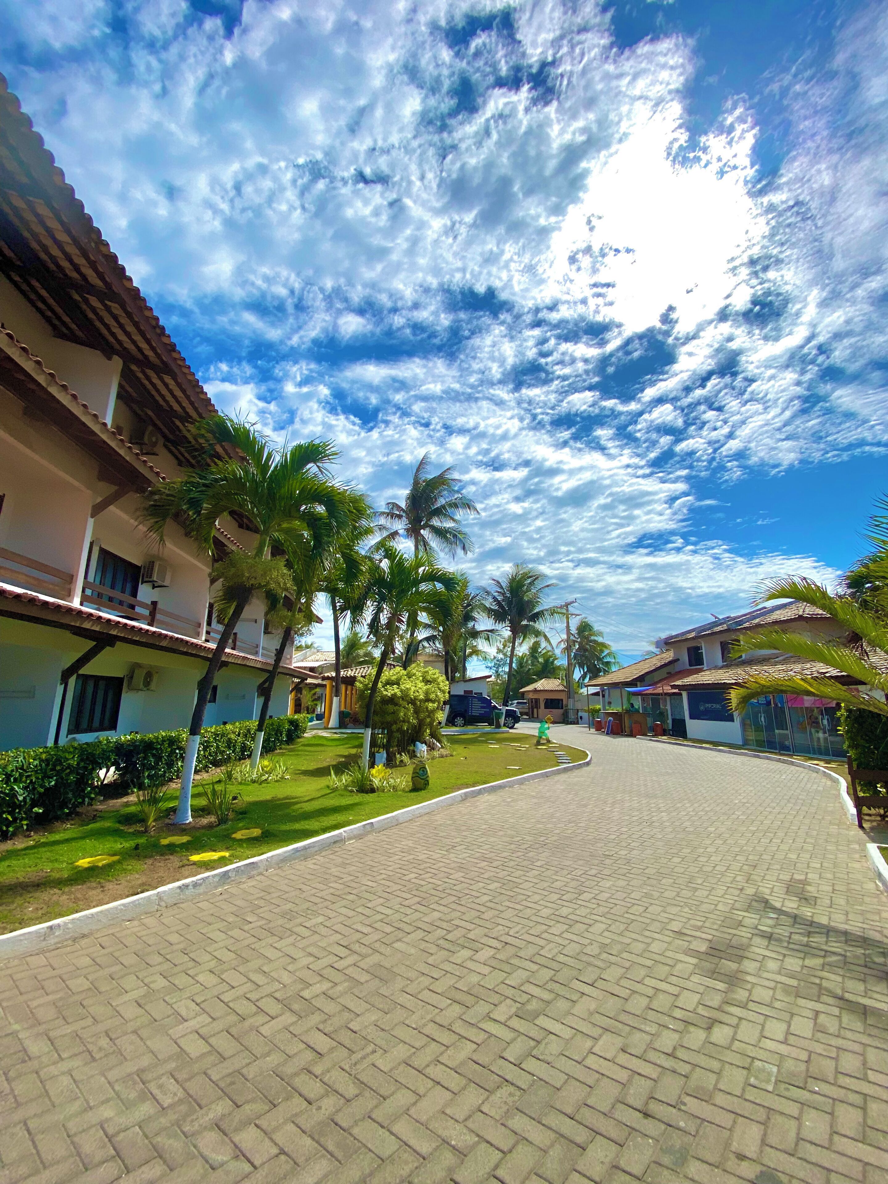 A paved walkway with palm trees and a building with a tiled roof.