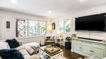 TV, books, music library, video library