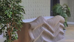 Un comptoir d'accueil au motif ondulé, une plante en pot et une porte en arrière-plan.
