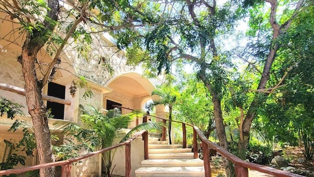 A staircase leading to a building with an arched entrance, surrounded by trees and greenery.