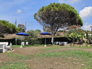 Overnattingsstedets uteområder