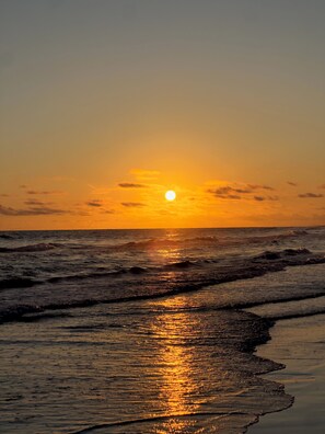 Sun loungers, beach towels - ONE MILE from beautiful Siesta Key, #1 beach in the USA!!! (Sarasota)