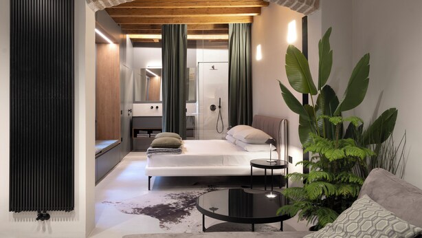 Un dormitorio acogedor con cama, mesitas de noche, un espejo y una planta grande en maceta.