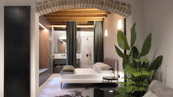 Phòng đôi hoặc 2 giường đơn Executive, quang cảnh sân vườn | Minibar, phòng cách âm, bàn ủi/dụng cụ ủi quần áo
