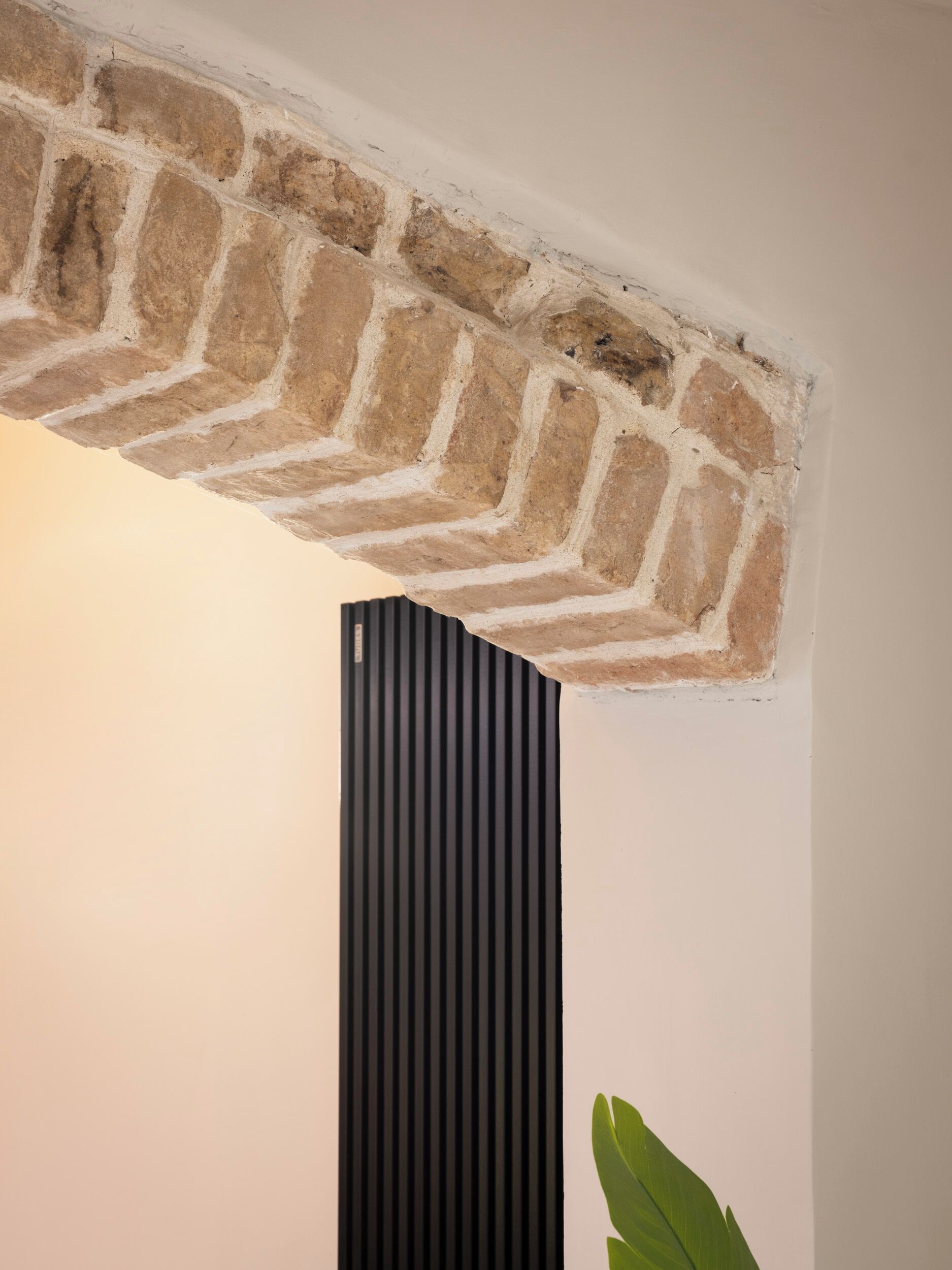 Una habitación con paredes de ladrillo visto, un panel vertical negro y una planta verde.