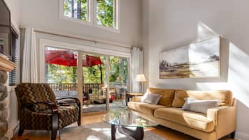 Smart TV, fireplace, books