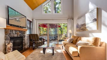 Smart TV, fireplace, books