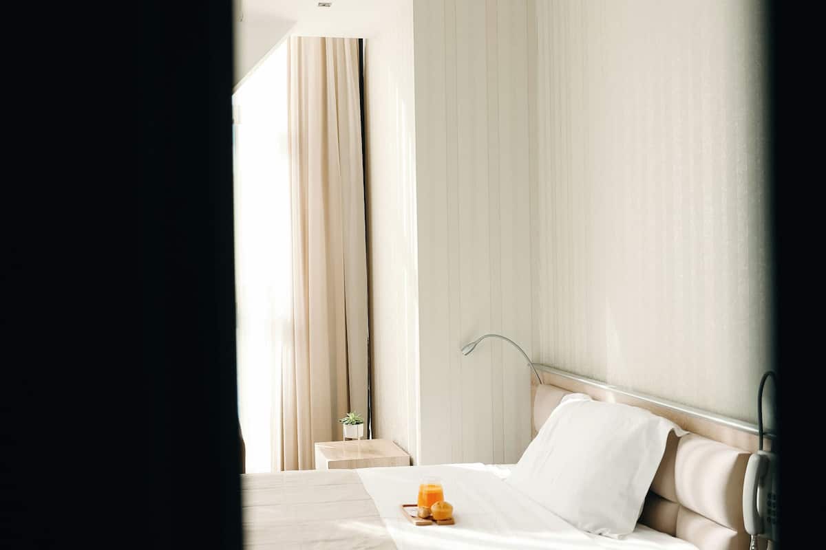 A hotel room with a bed, bedside table, and a small plant.