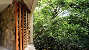 Nature View Room | 客房景觀