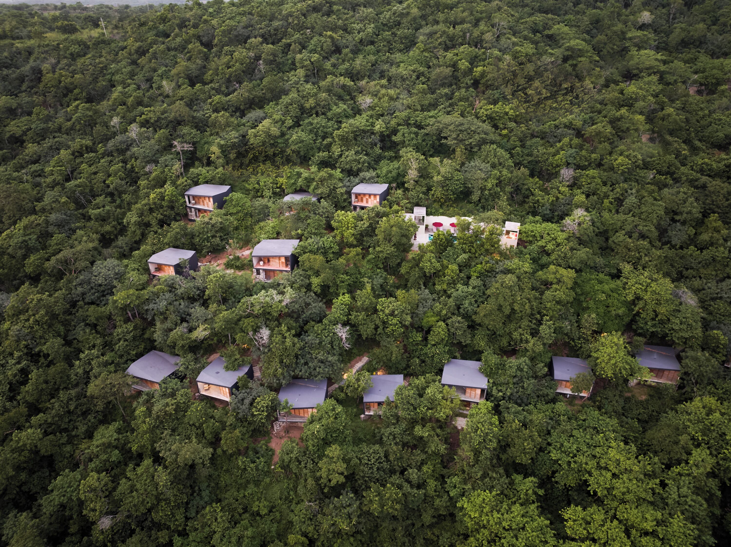 An aerial view of a forested area with several small, modern cabins.
