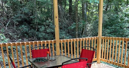 Tiny Cabin in the Laurels, with queen bed & queen sofa bed in wooded setting.