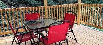 Tiny Cabin in the Laurels, with queen bed & queen sofa bed in wooded setting.