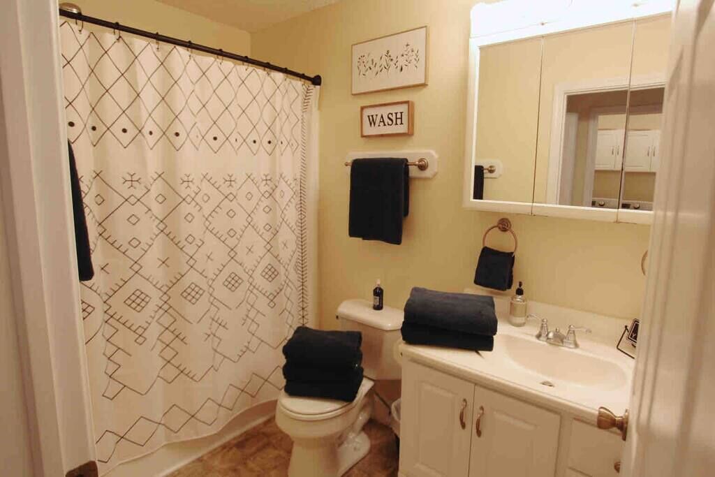 Hair dryer, towels, soap, toilet paper