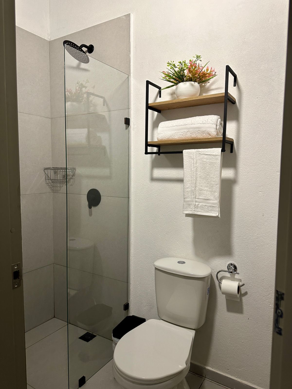 Un baño con ducha de vidrio, inodoro blanco, un perchero con una planta y un dispensador de papel higiénico.