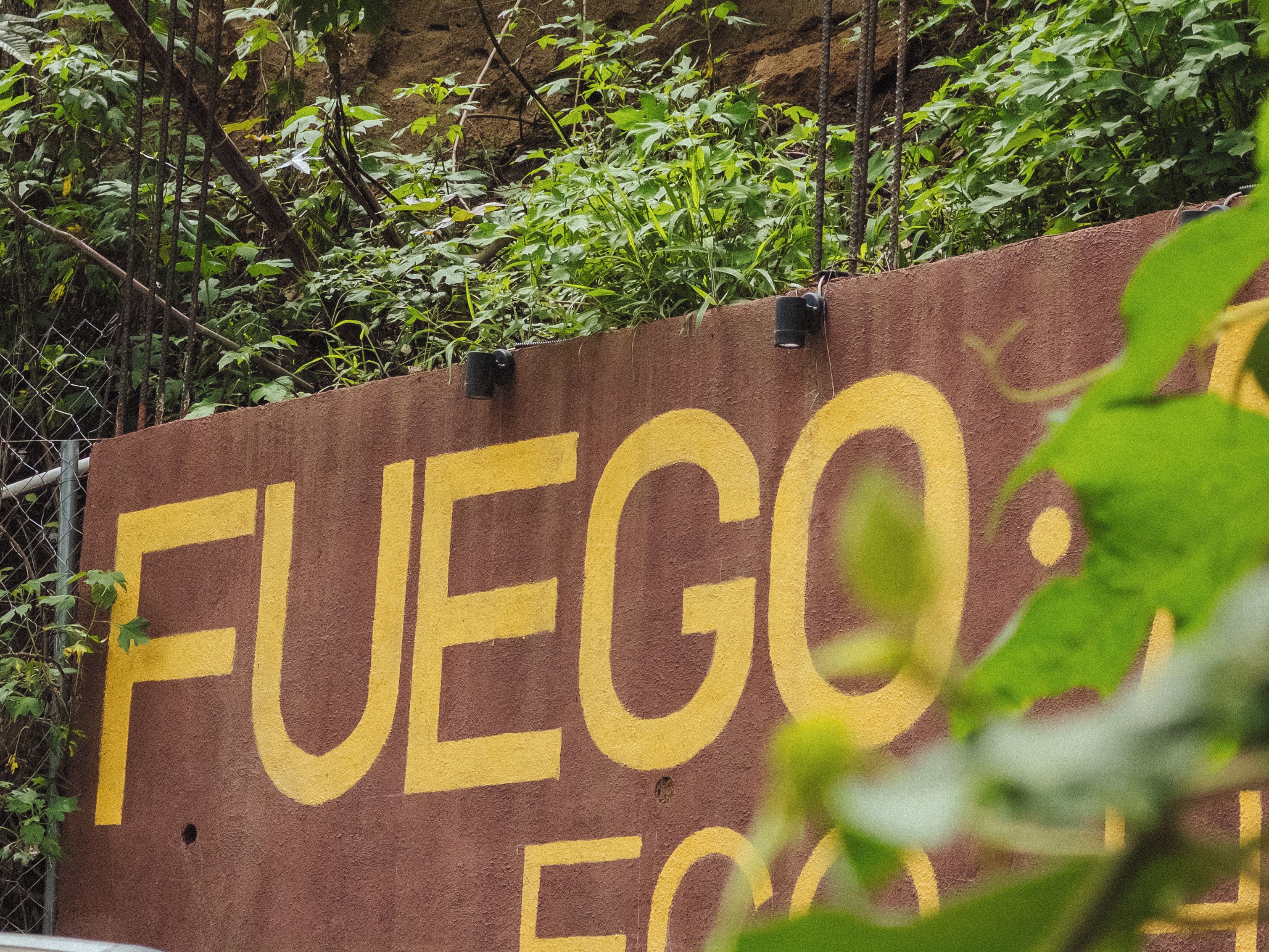 A sign with the word 'FUEGO' partially obscured by foliage.