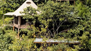 Three treehouse-style accommodations nestled among lush greenery.