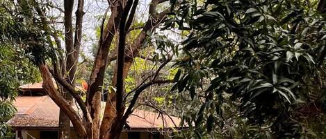 Un edificio tradicional con tejado de tejas, rodeado de exuberante vegetación y un jardín bien cuidado.