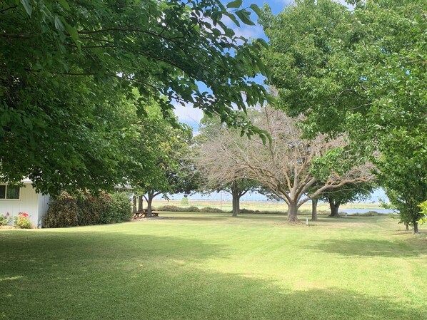 Área da propriedade