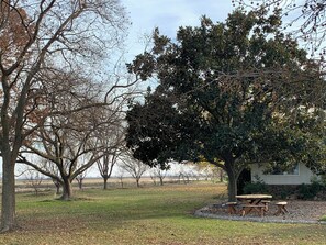 Outdoor dining - Peaceful 3-bedroom Country Ranch House near Oroville (Oroville)