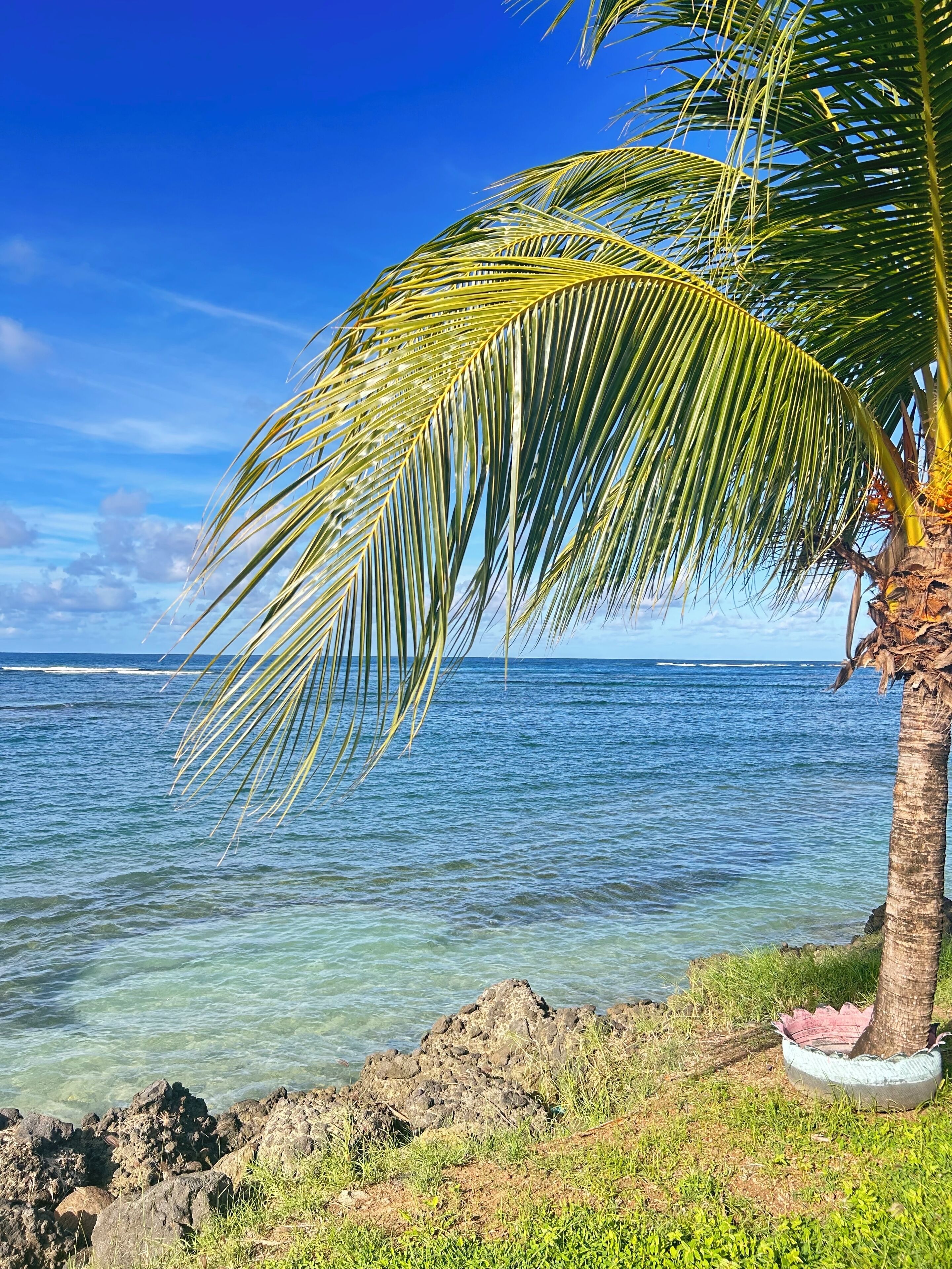 Chaises longues, serviettes de plage