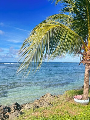 Solsenger og strandhåndklær
