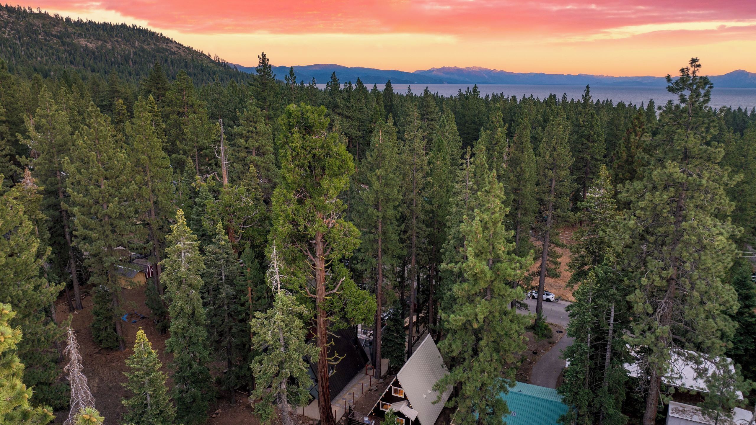 A forested area with a cabin and a clear view of a lake and mountains in the distance.