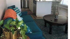 A modern kitchen with a central island, a dining area with a round table, and a cozy seating area with a sofa and a potted plant.