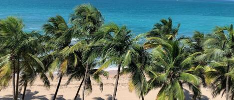 كراسي للتشمس، مناشف للشاطئ