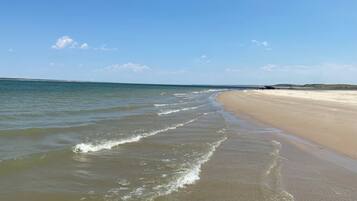 Chaises longues, serviettes de plage