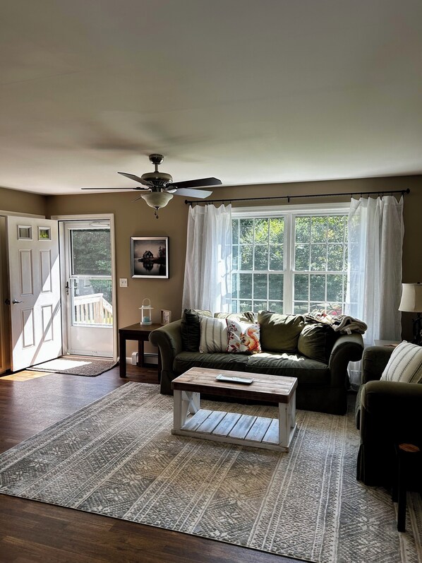 Smart-tv, pejs, bøger