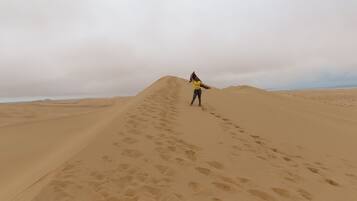 Liegestühle, Strandtücher