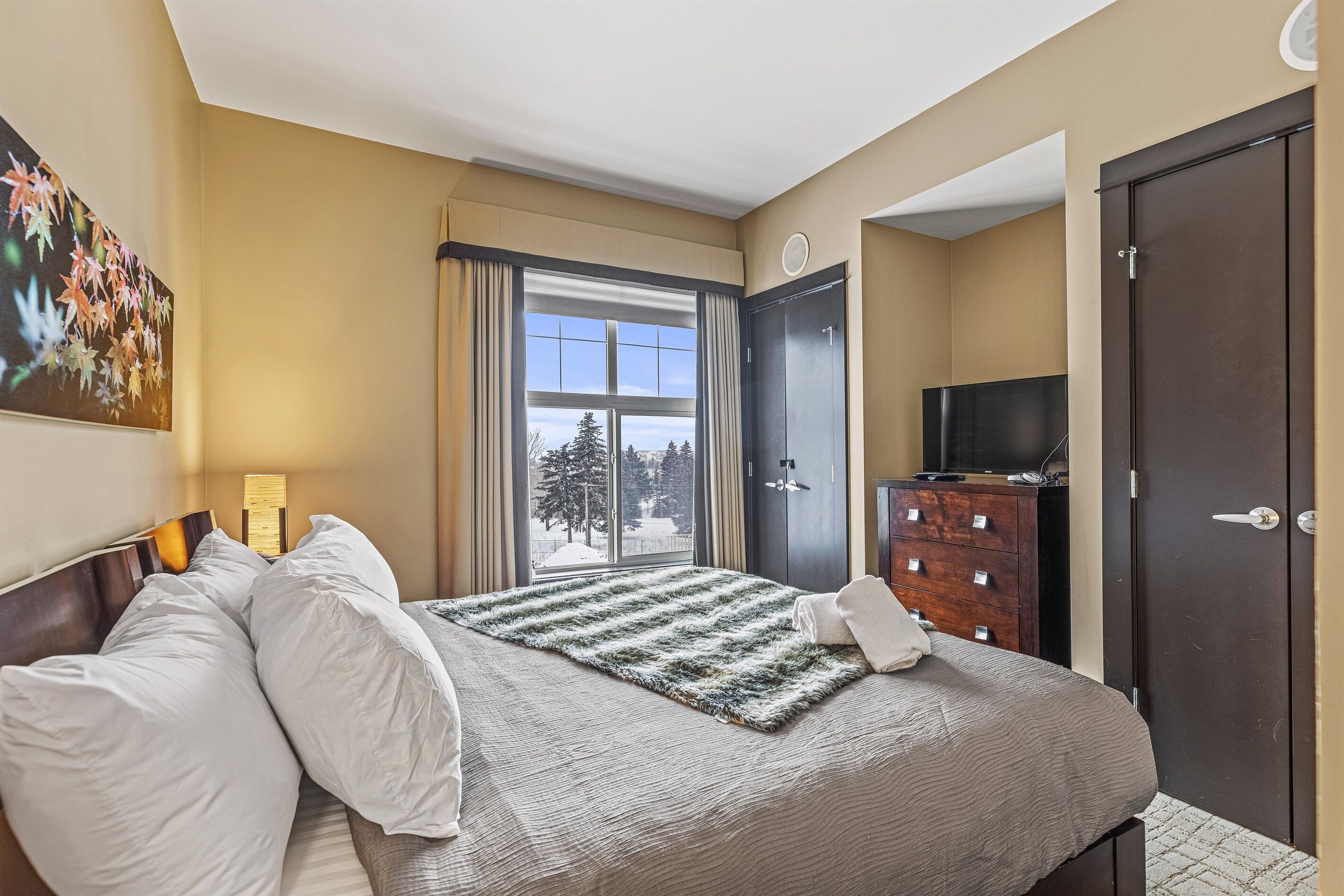 Une chambre d’hôtel avec un lit, une télévision, une armoire et une fenêtre donnant sur des arbres.