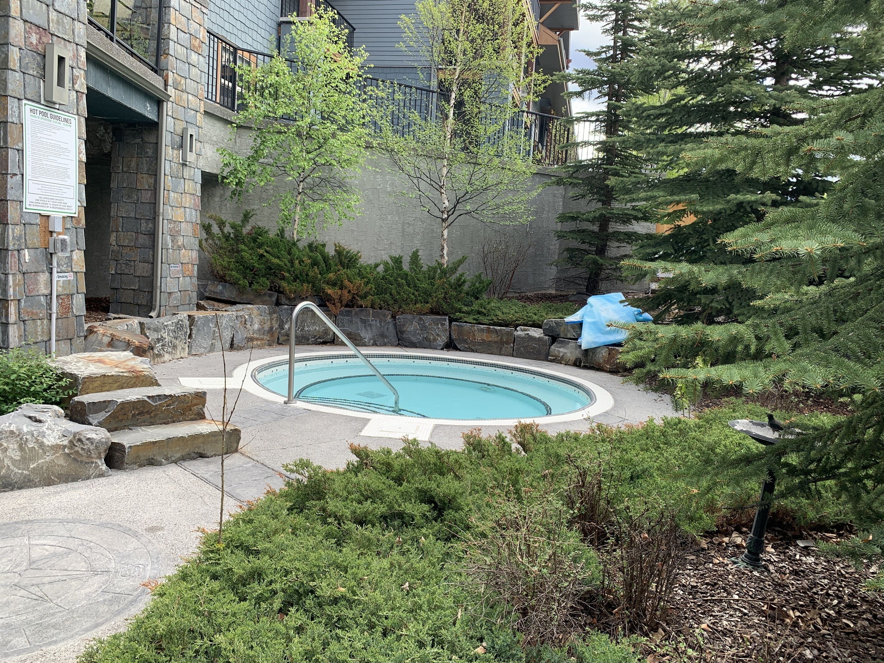 Una piscina con pared de piedra y escalera de metal, rodeada de follaje y un sendero de piedra.