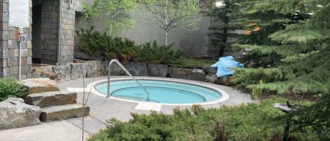 A swimming pool with a stone wall and a metal ladder, surrounded by greenery and a stone pathway.
