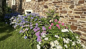 A stone building with a garden of hydrangeas in various colors. - Altes Bauernhaus- Erlebnis Vulkaneifel (Sassen)