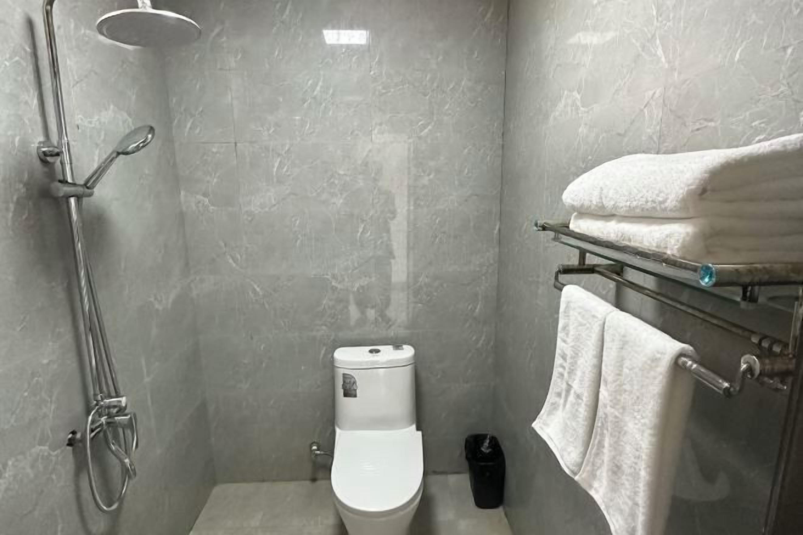 Un baño con ducha, inodoro y perchero para toallas.