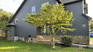 A two-story house with a stone foundation and a tree in the front yard. - Charming 2-bedroom townhome with game room, WiFi, AC, only 10 min to Dollywood. (Sevierville)