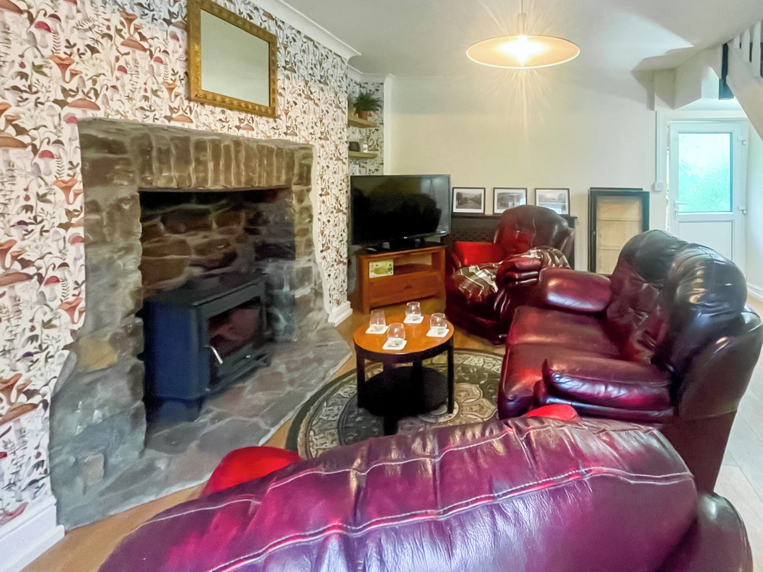 TV