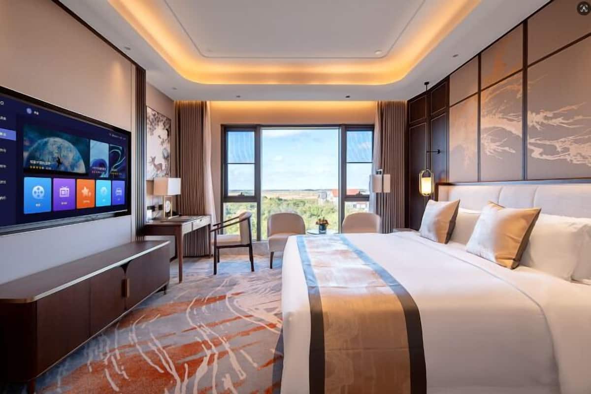 Habitación de hotel con una cama grande, un escritorio con silla, televisión y vista a la ciudad.