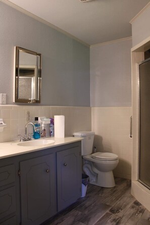 Shower, towels, soap, shampoo - Perfect for a relaxing stay in a quiet and peaceful setting.  (Monroe)