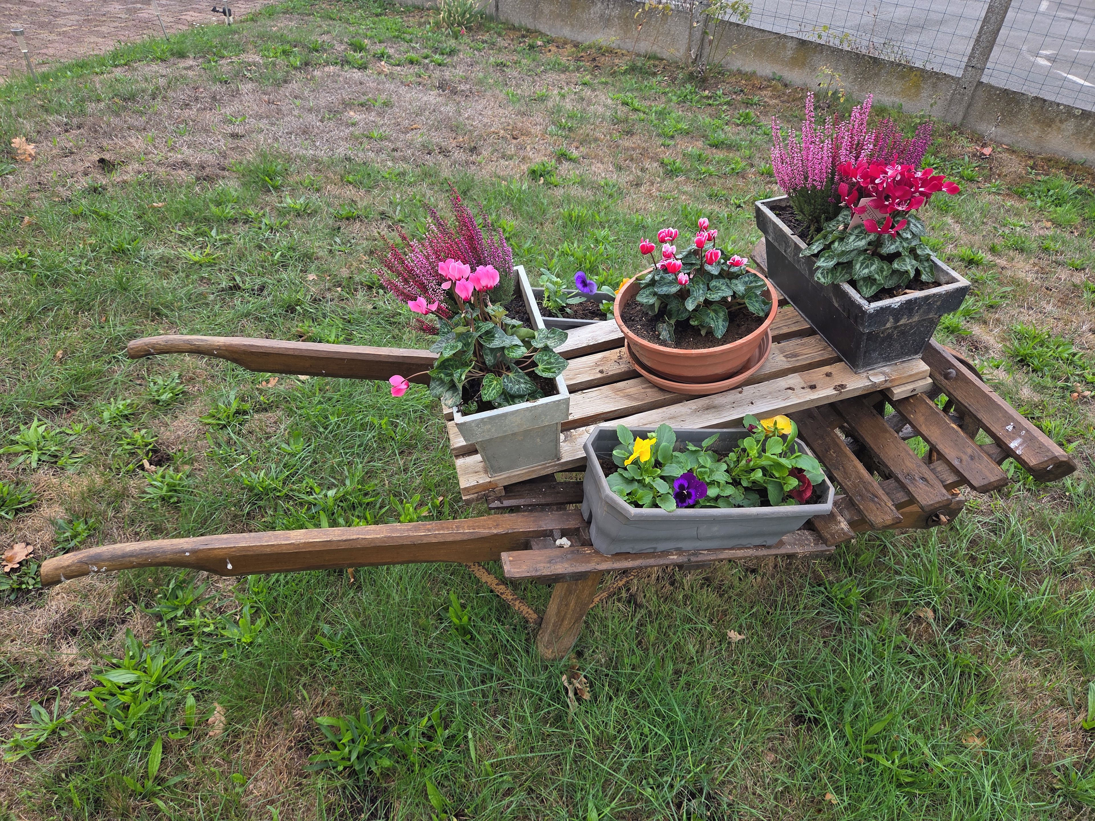A wooden wheelbarrow with potted plants and flowers.