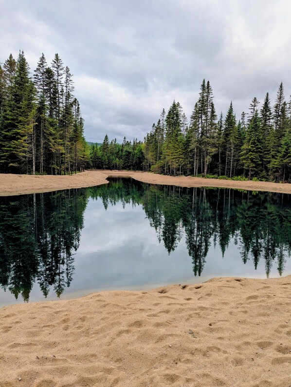 Ein ruhiger See, umgeben von dichtem Wald.
