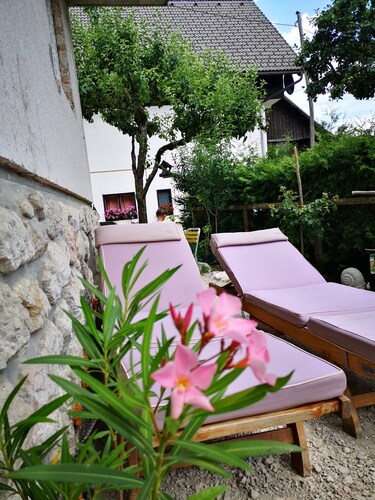 Charming 2-bedroom apartment in fabulous Srednja vas 111 v bohinju, pet friendly