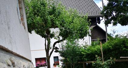 Charming 2-bedroom apartment in fabulous Srednja vas 111 v bohinju, pet friendly